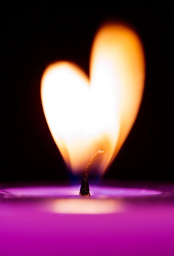 Copyright © K-IMAGES. All Rights Reserved.